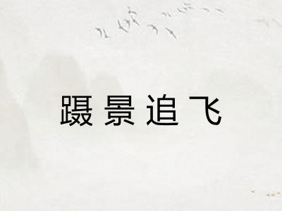 蹑景追飞