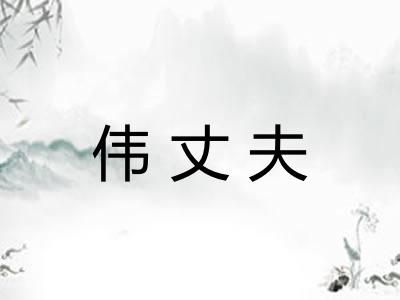 伟丈夫