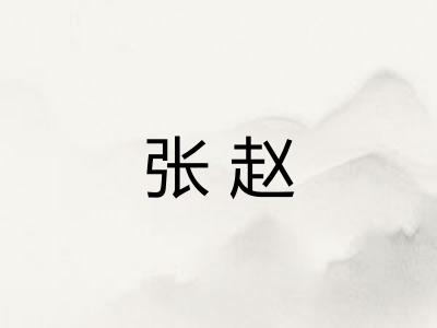 张赵