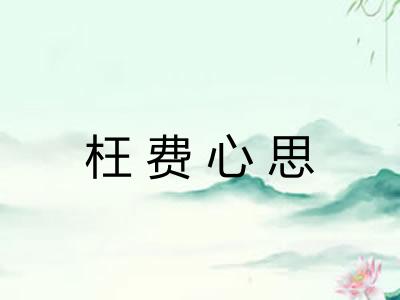 枉费心思
