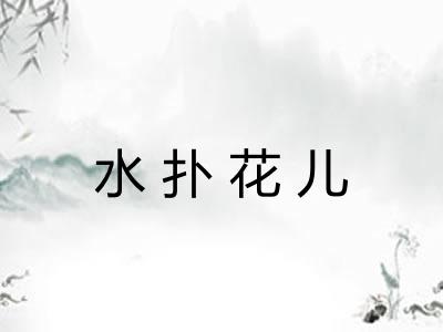 水扑花儿 水扑花儿