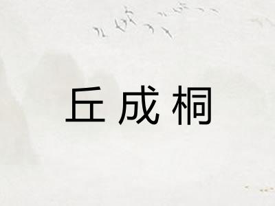 丘成桐 丘成桐