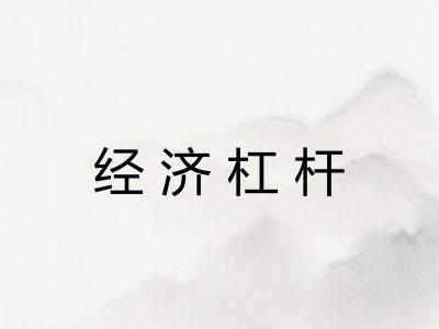 经济杠杆 经济杠杆