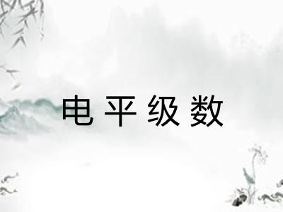 电平级数