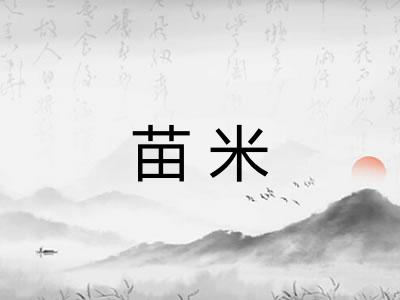 苗米