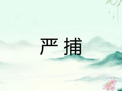 严捕