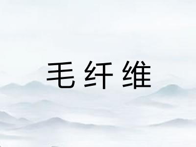 毛纤维