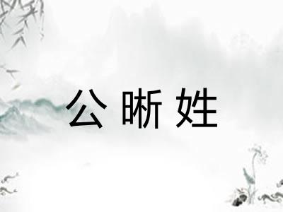 公晰姓 公晰姓