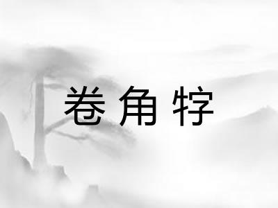 卷角牸