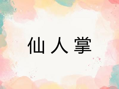 仙人掌