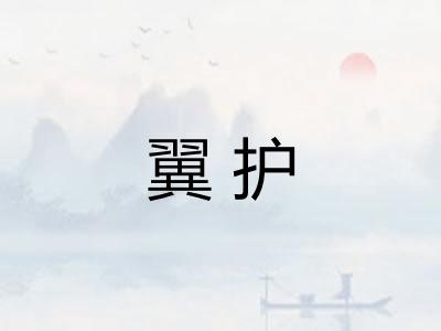 翼护