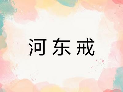 河东戒