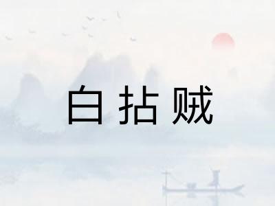 白拈贼