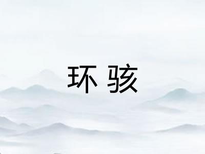 环骇