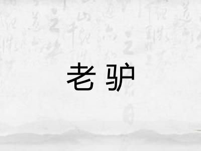 老驴