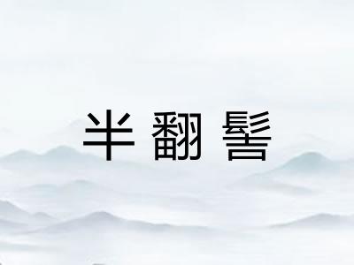 半翻髻