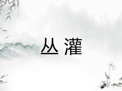 丛灌