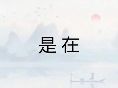 是在 是在