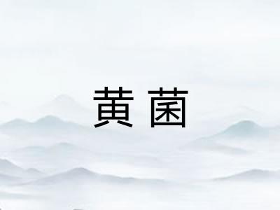 黄菌