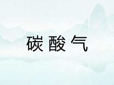 碳酸气 碳酸气