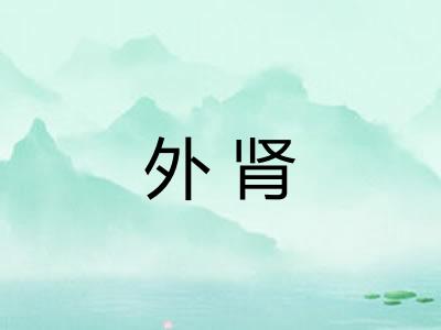外肾