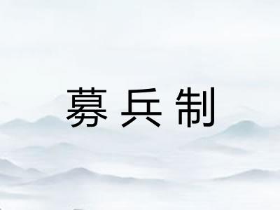 募兵制