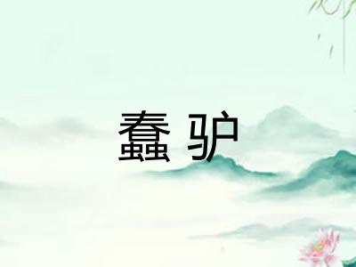 蠢驴