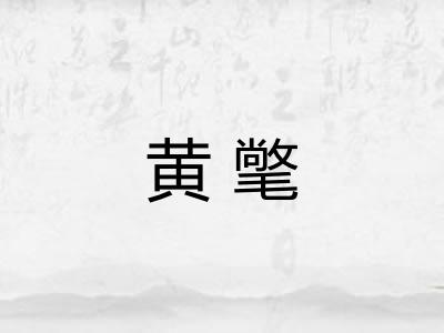 黄氅