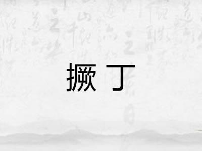 撅丁
