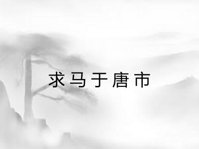 求马于唐市