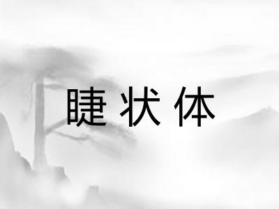 睫状体