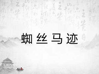 蜘丝马迹 蜘丝马迹