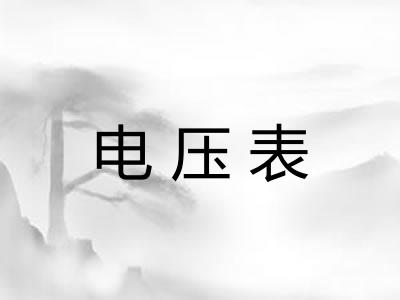 电压表