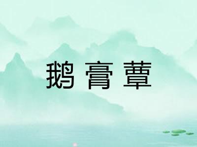 鹅膏蕈