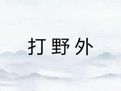 打野外 打野外