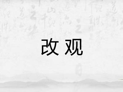 改观