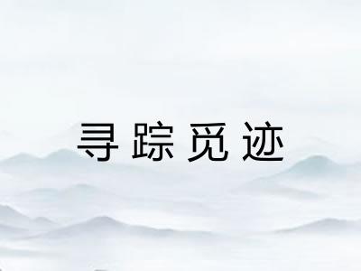 寻踪觅迹