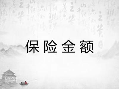 保险金额 保险金额