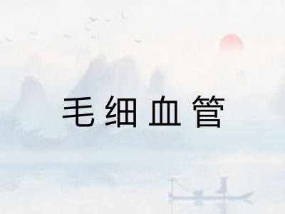 毛细血管 毛细血管