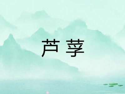 芦莩