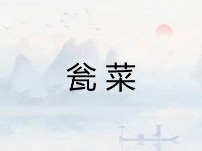 瓮菜