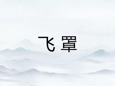 飞罩