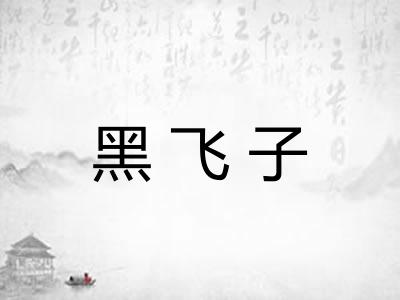 黑飞子 黑飞子