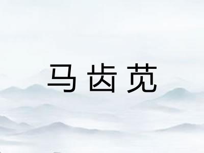 马齿苋 马齿苋