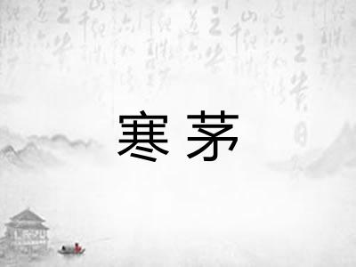寒茅