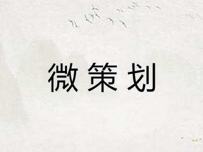 微策划 微策划