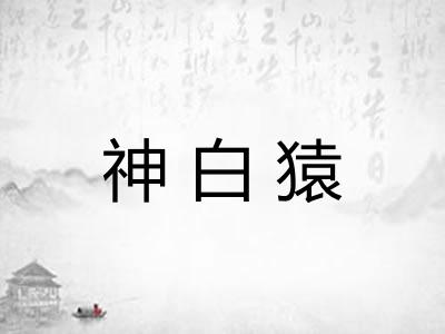 神白猿