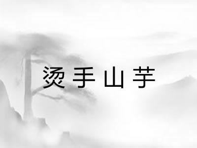 烫手山芋