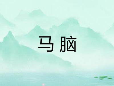 马脑 马脑