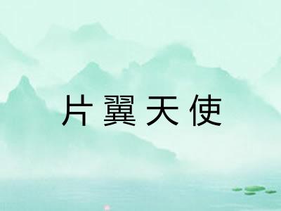 片翼天使 片翼天使